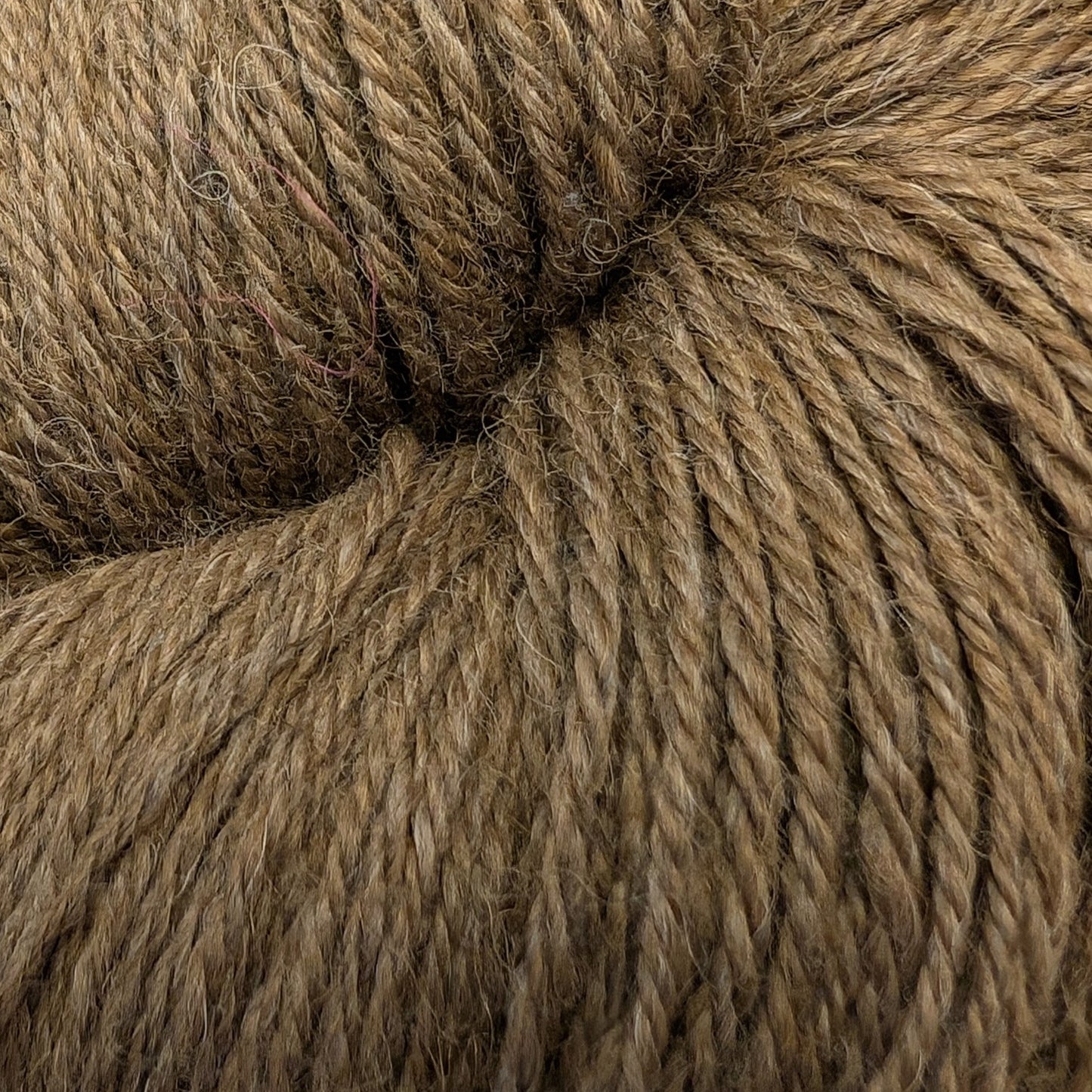 Alpaga et mérinos - Candy Mandy