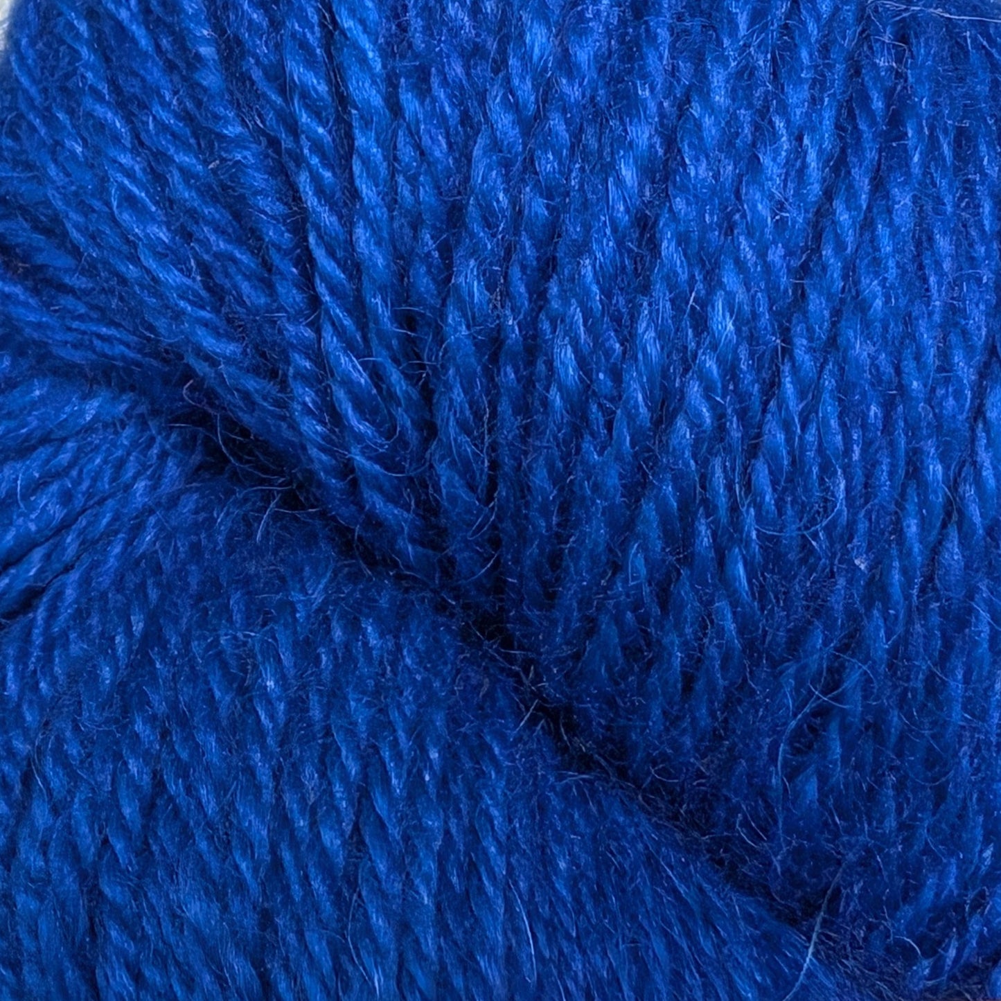 Alpaga et mérinos - Ivy Blanche Eva