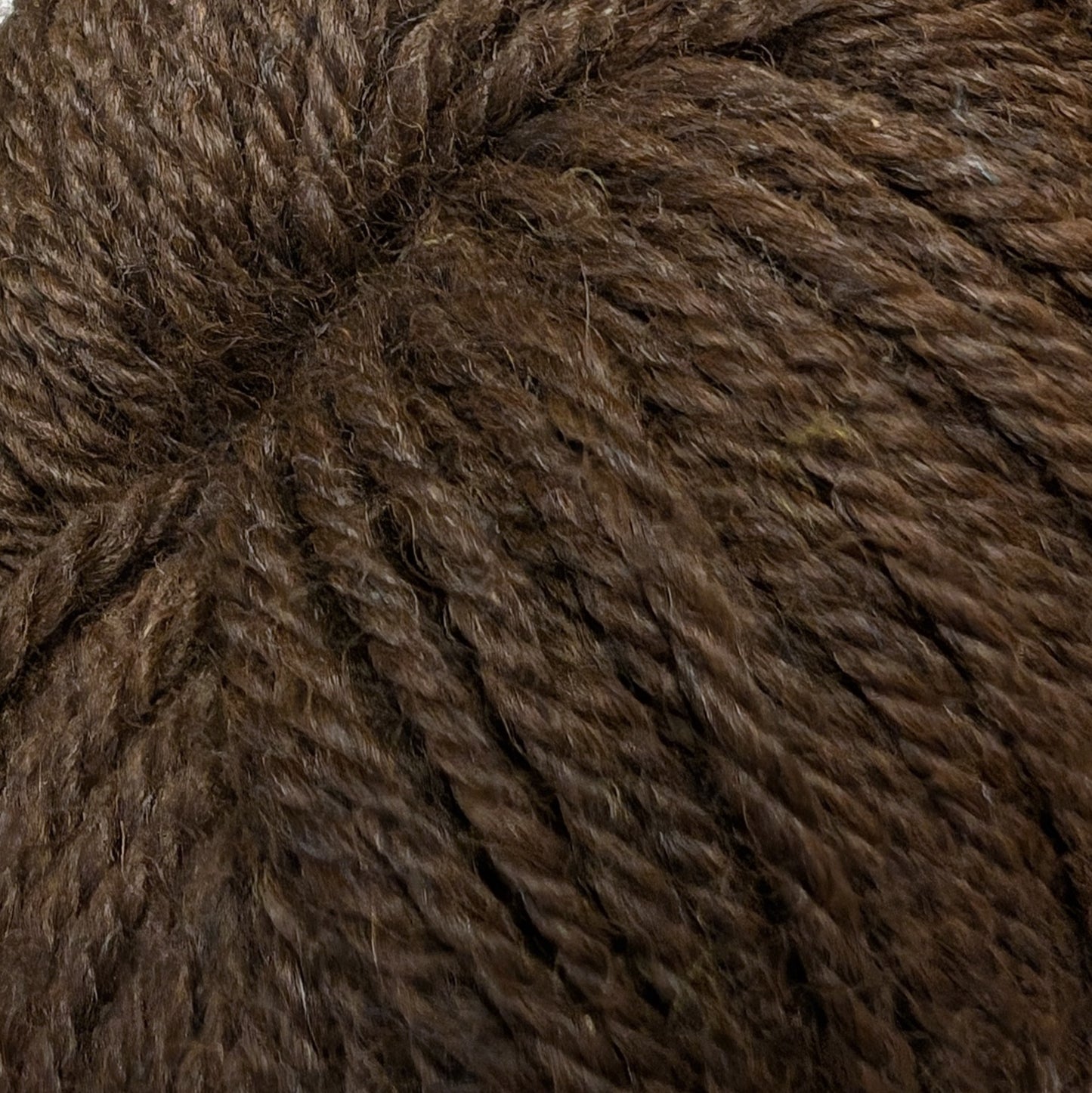 Alpaga et mérinos - Roméo Aramis