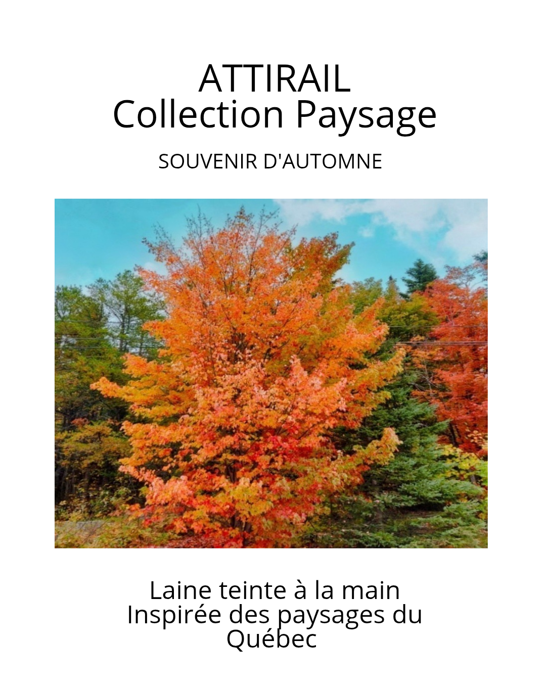 Laine teinte à la main - Collection paysage du Québec - Souvenir d'automne