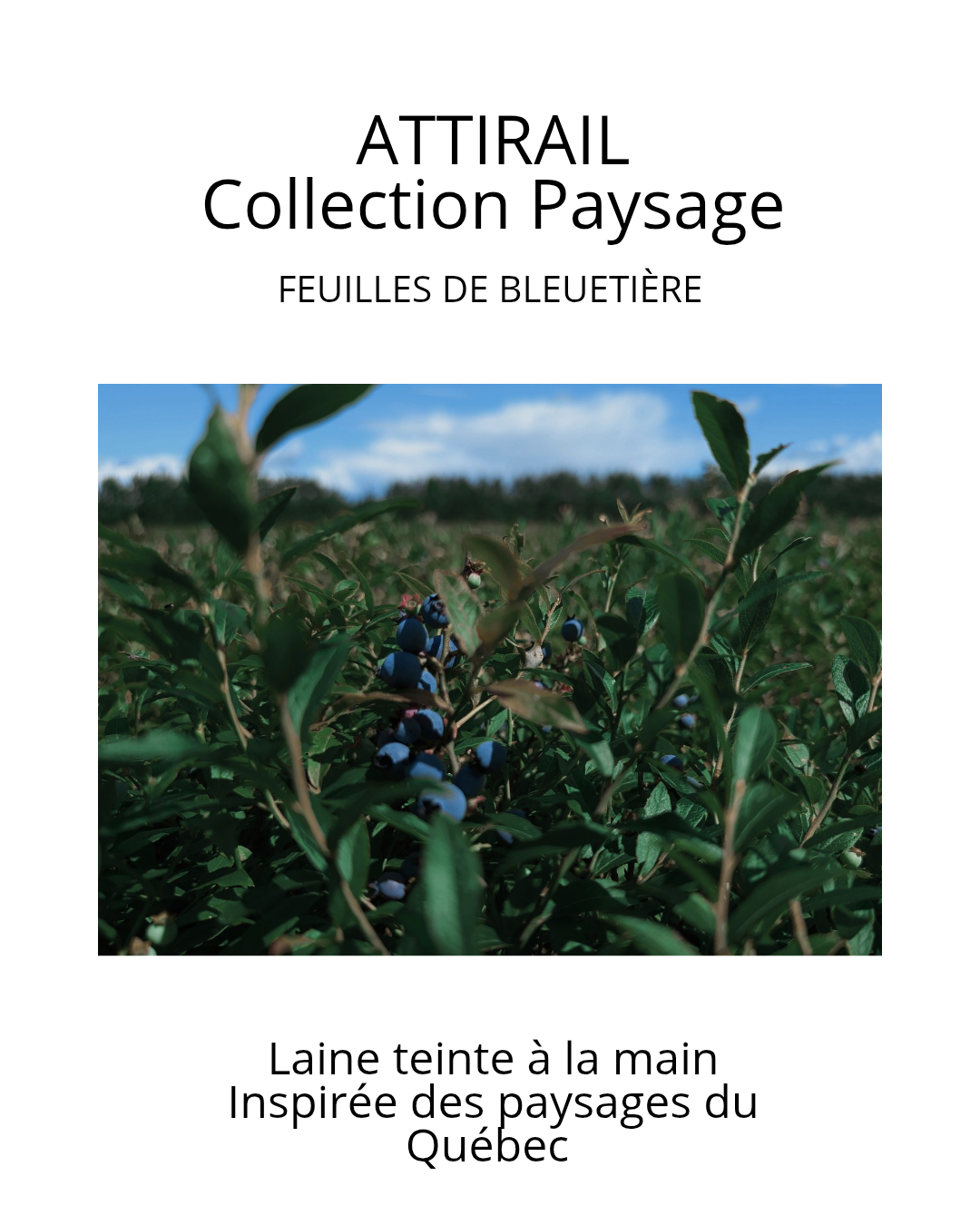 Laine teinte à la main - Collection paysage du Québec - Feuille de bleuet