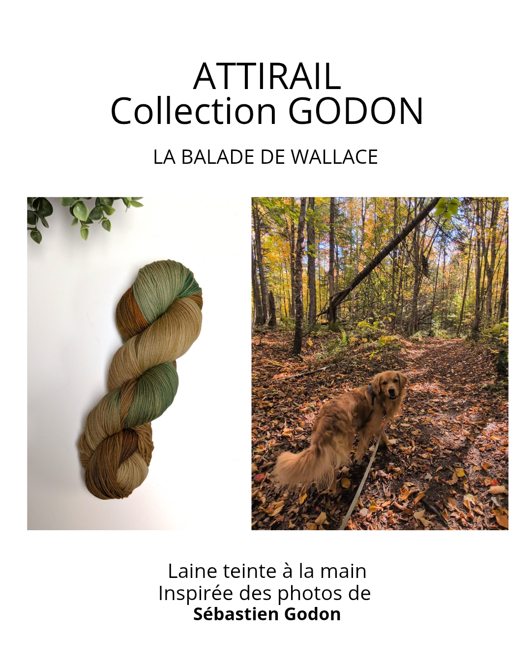 Laine teinte à la main - Collection Sébastien Godon - La ballade de Wallace