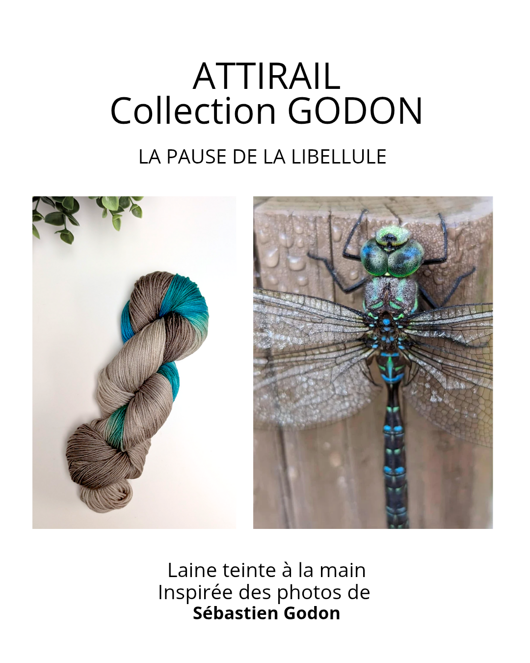 Laine teinte à la main - Collection Sébastien Godon - La pause de la libellule