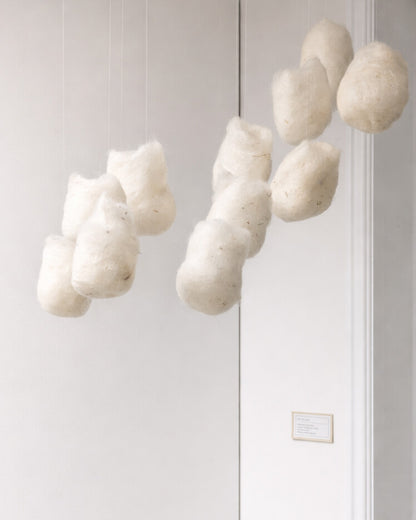 Catherine Bouchard - Cocons : Fragments