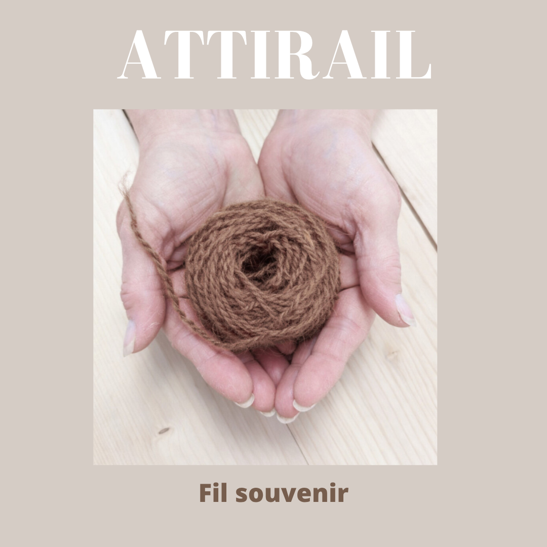 Atelier  - Créer un fil avec le poil de votre animal