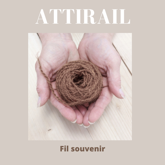 Atelier  - Créer un fil avec le poil de votre animal