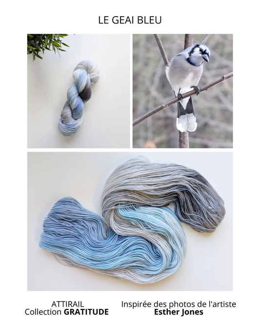 Laine teinte à la main - Collection GRATITUDE - Le geai bleu