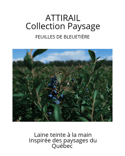 Laine teinte à la main - Collection paysage du Québec - Feuille de bleuet