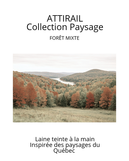 Laine teinte à la main - Collection paysage du Québec - Forêt mixte