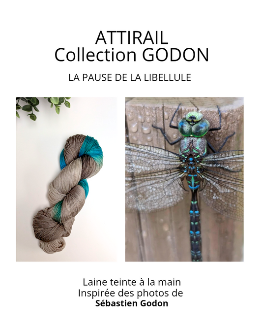 Laine teinte à la main - Collection Sébastien Godon - La pause de la libellule