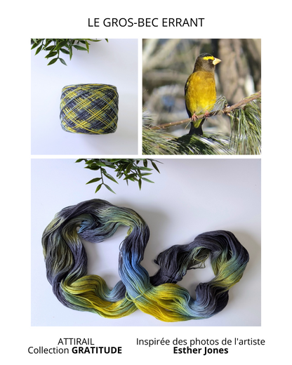 Chaussettes Gros-Bec Errant