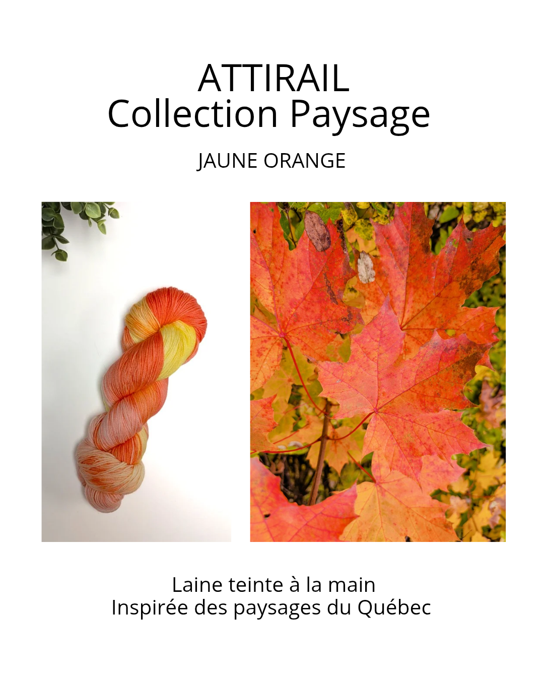 Laine teinte à la main - Collection paysage du Québec - Jaune orange