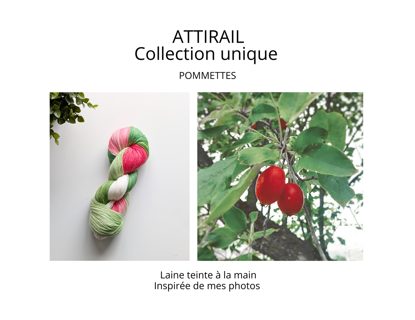 Laine teinte à la main - Collection unique - pommettes