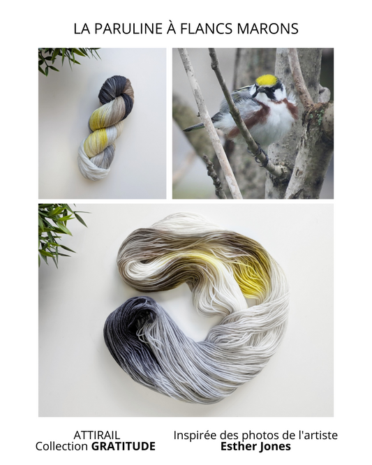 Laine teinte à la main - Collection GRATITUDE - La paruline à flancs marrons