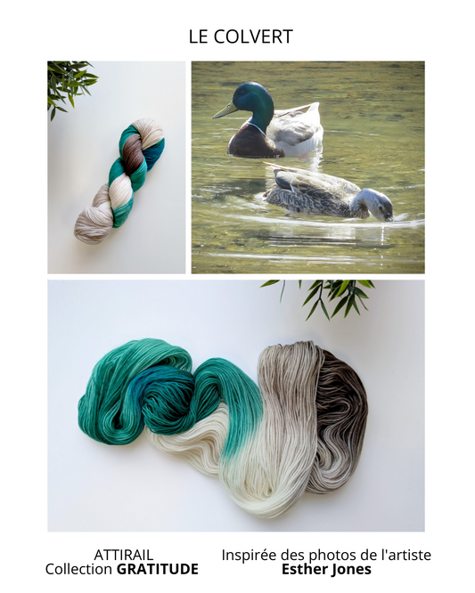 Laine teinte à la main - Collection GRATITUDE - Le colvert